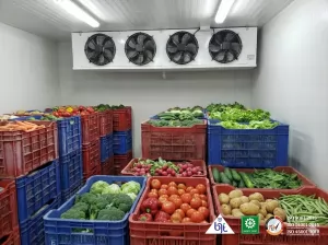 Cold Storage untuk Penyimpanan Produk Pertanian Organik